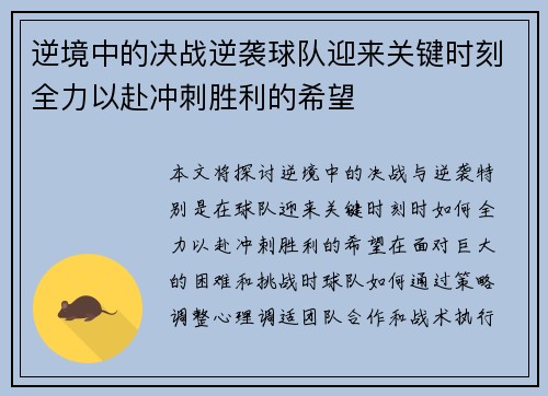 逆境中的决战逆袭球队迎来关键时刻全力以赴冲刺胜利的希望