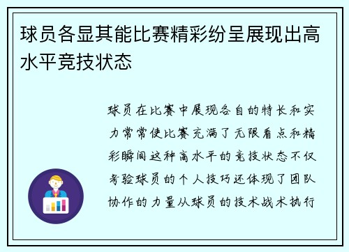 球员各显其能比赛精彩纷呈展现出高水平竞技状态